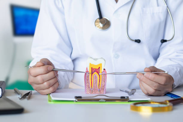Best Emergency Dental Care for Broken or Chipped Teeth in Plum, PA